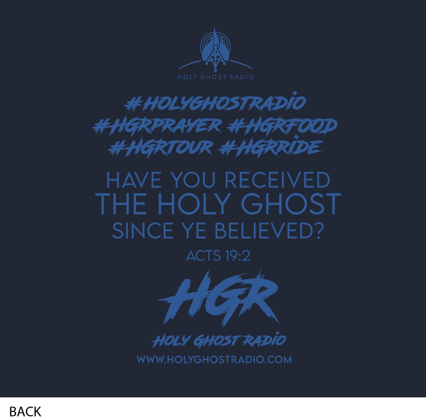 Got Holy Ghost? (Hoodie)